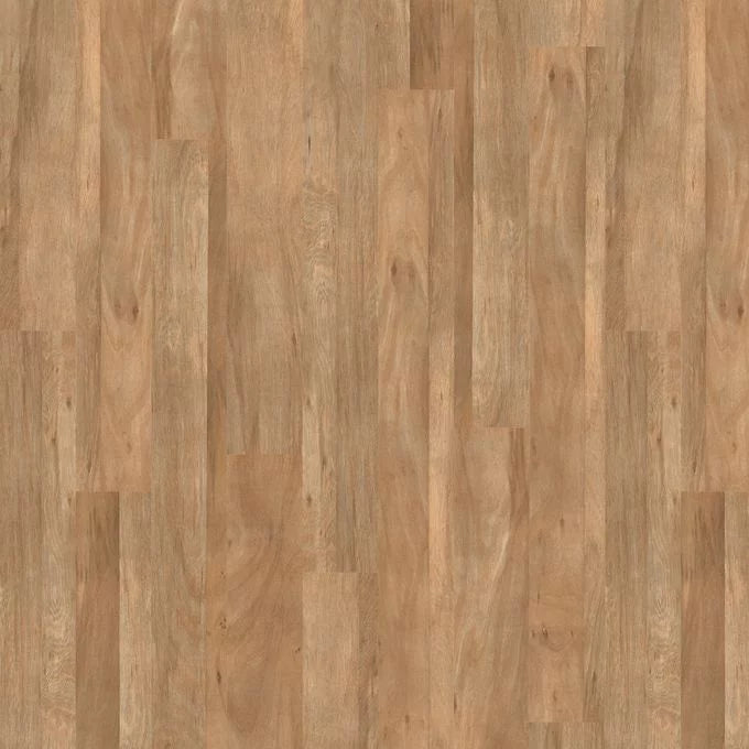 Mountain Alder 4401