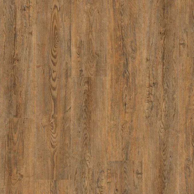 Wild Amber Oak 2249