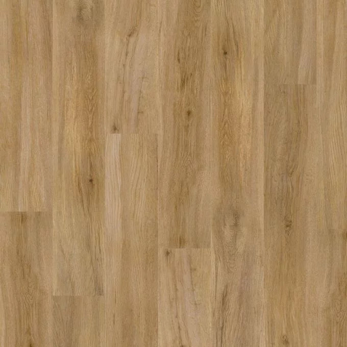 English Oak 4435