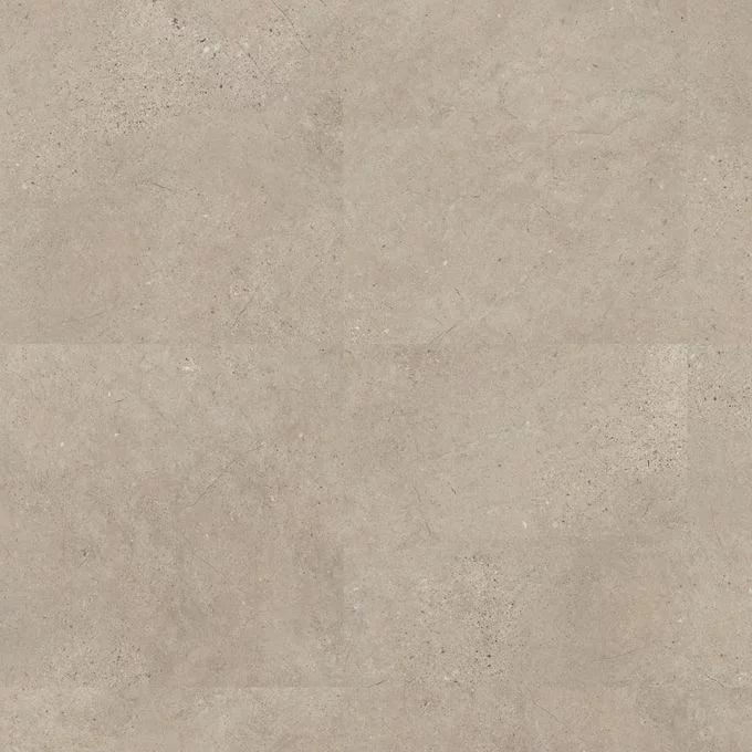 Fossil Limestone 4537
