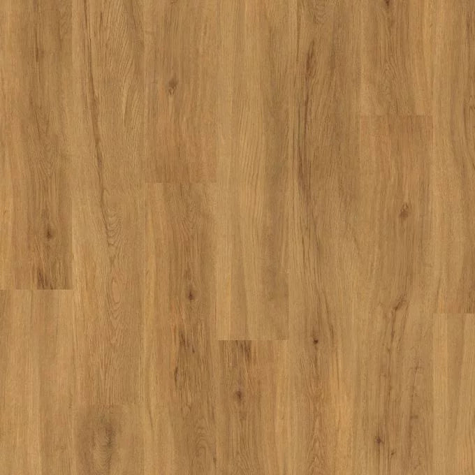 Schoolhouse Oak 4434