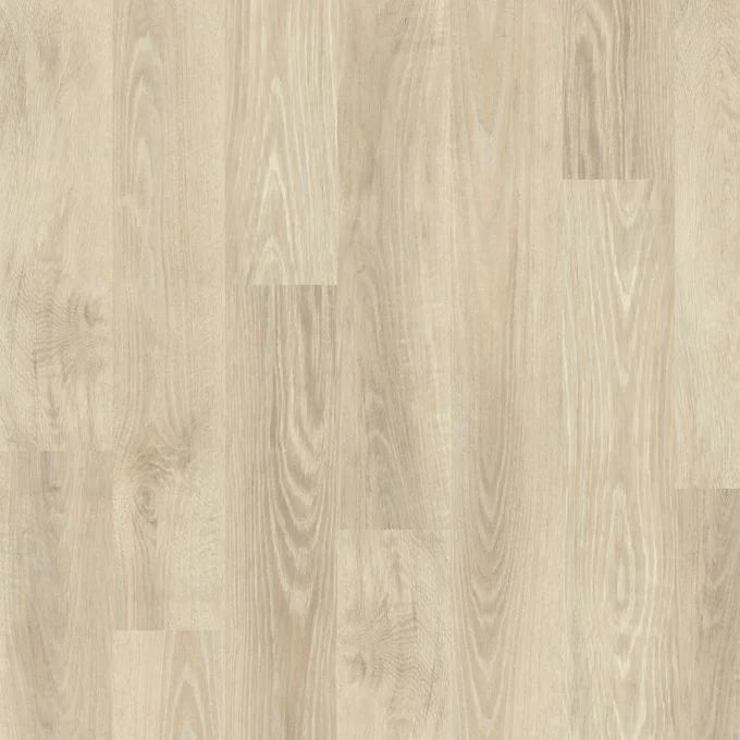 New England Elm 4433