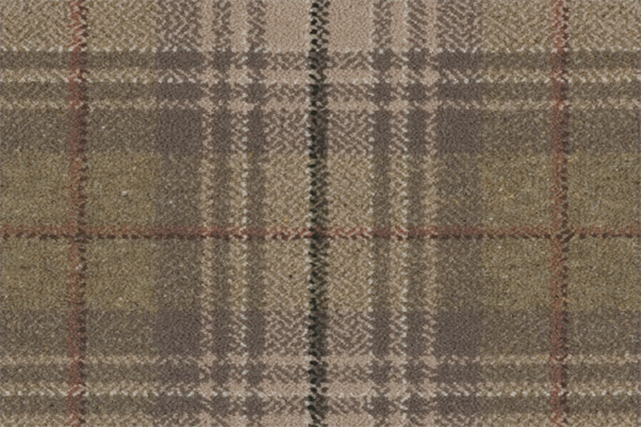 Brindle 12/20016