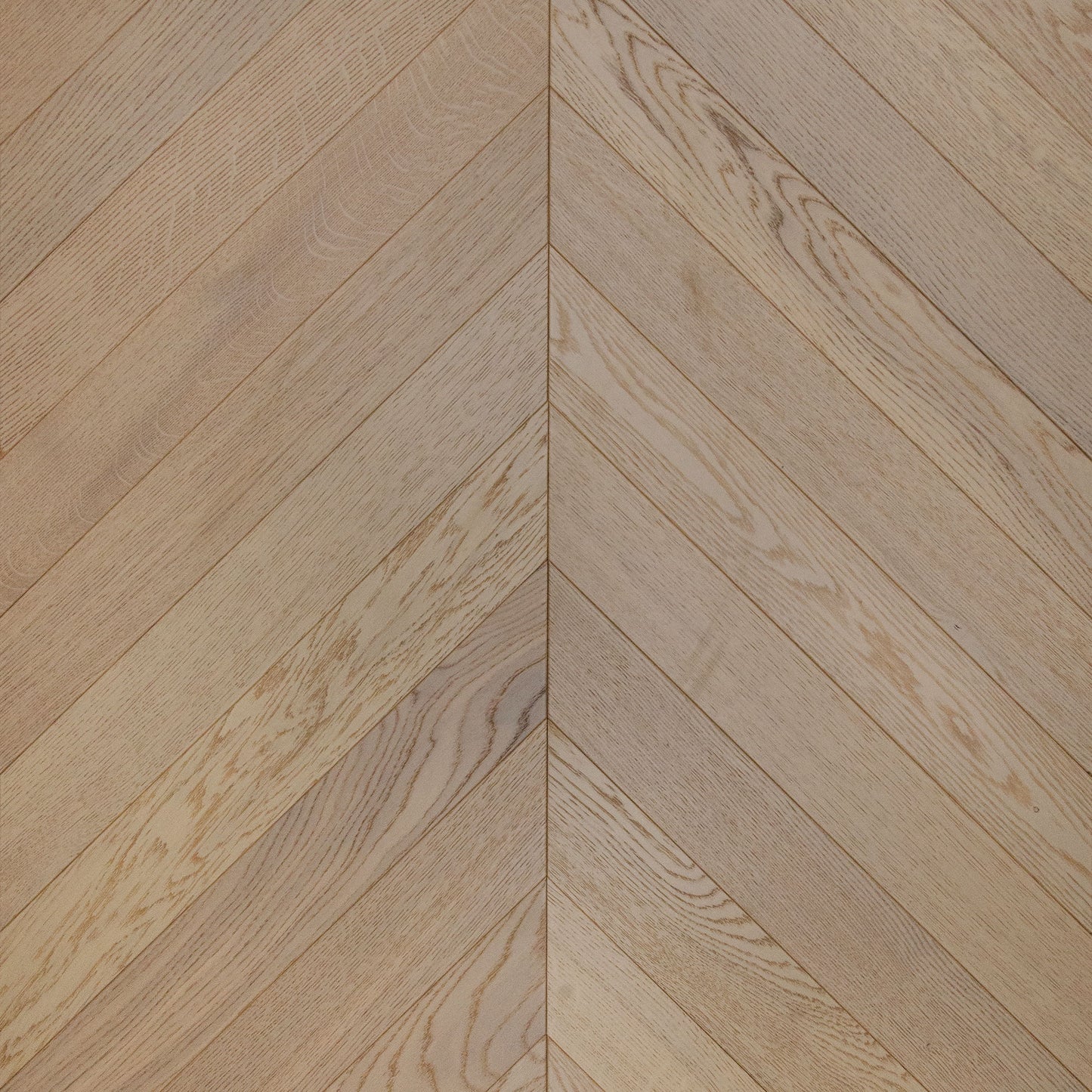 CV104 Seashell Chevron