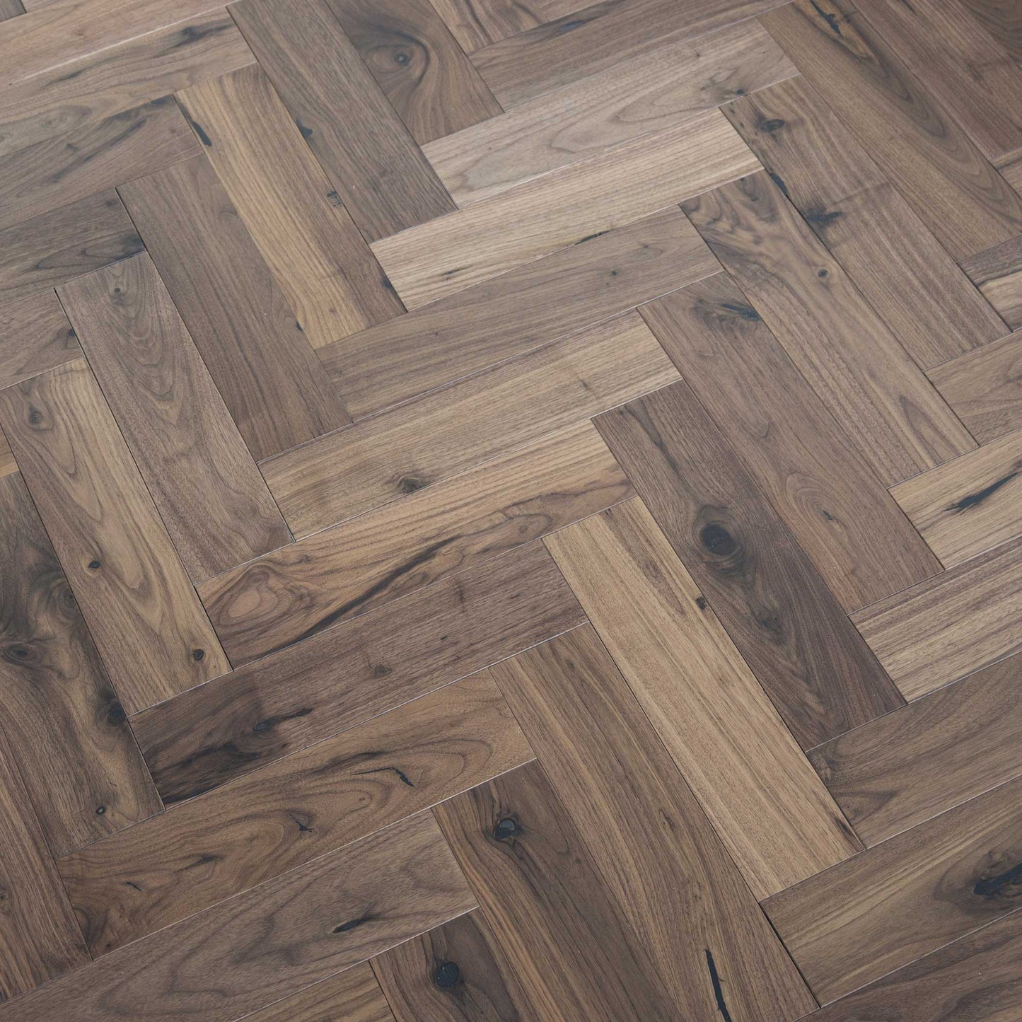 ZB205 Black Walnut