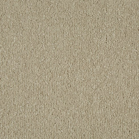 Sensation Cambrian Stone