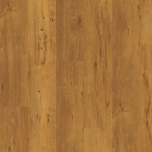 Saffron Oak 4057