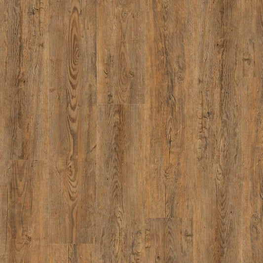 Wild Amber Oak 2249