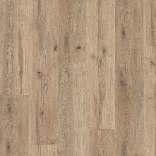Oiled Oak 4098