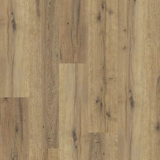 Everglade Oak 4101