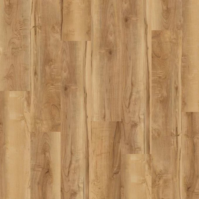 Oxford Maple 4431