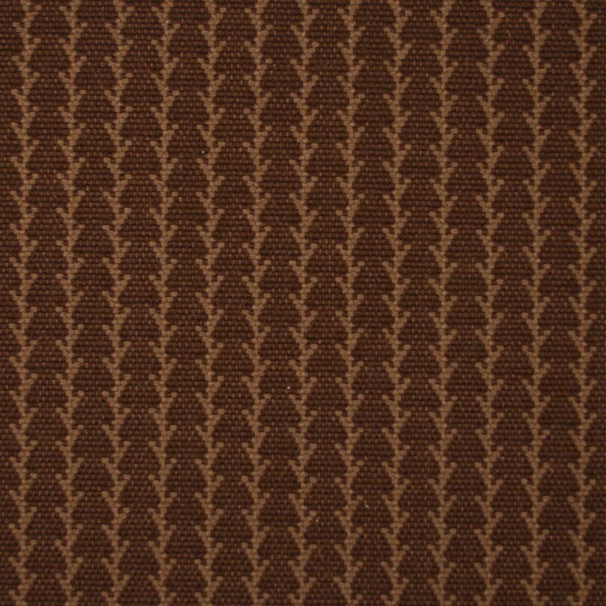 The Cornstem Collection