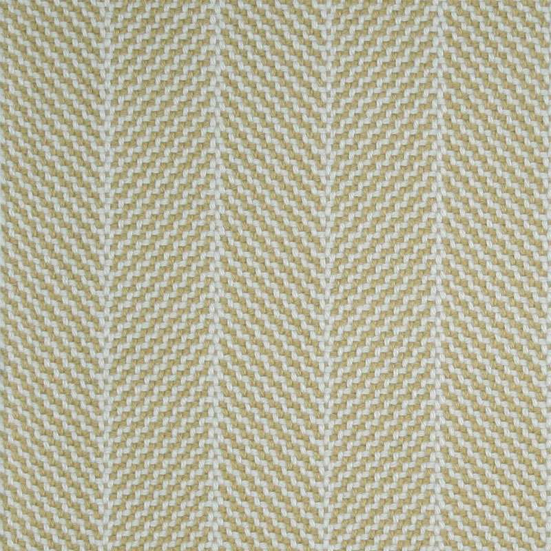The Barbel Collection