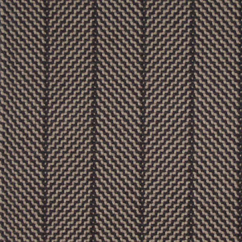 The Barbel Collection