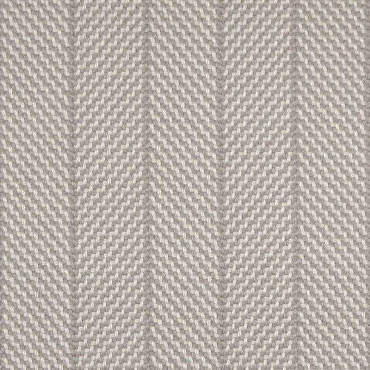 The Barbel Collection