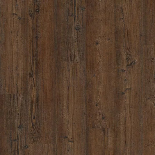 Kings Oak 4437