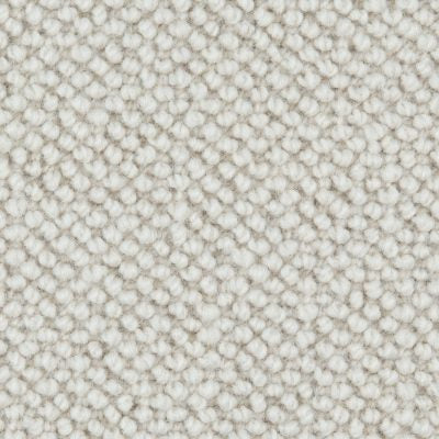 Wool Maldives Nautilus